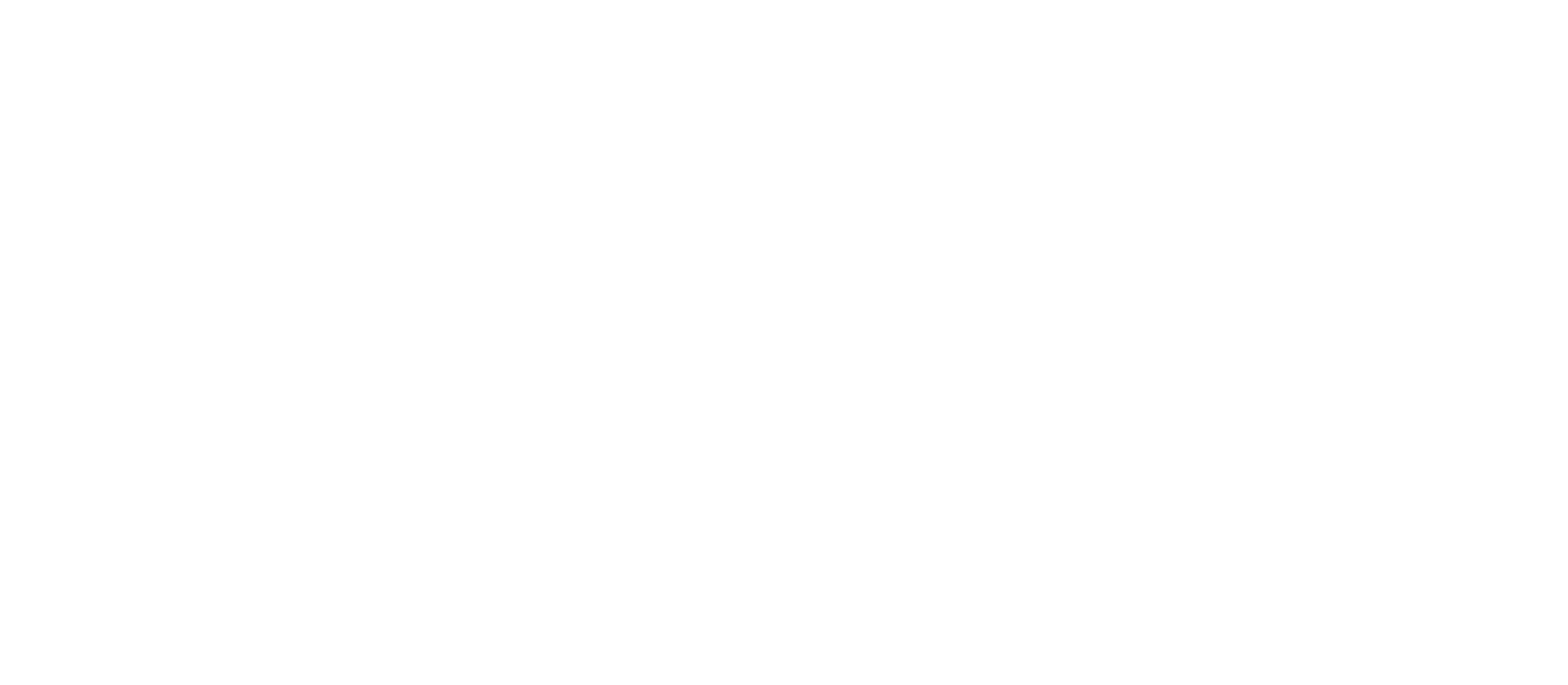 wperfolg logo weiß wperfolg logo weiß